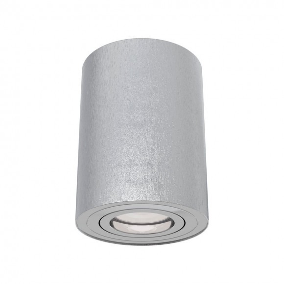 Накладной потолочный светильник Maytoni C016CL-01S Alfa под лампу 1xGU10 50W