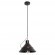 Подвесной светильник с 1 плафоном Lussole GRLSP-8265 BOSSIER IP21 под лампу 1xE27 10W