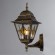 Уличный настенный светильник Arte Lamp A1011AL-1BN BERLIN IP44 под лампу 1xE27 75W
