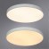 Настенно-потолочный светильник Arte Lamp A2671PL-1WH ARENA светодиодный LED 80W