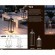 Уличный переносной светильник со встроенным аккумулятором Odeon Light York 4605/2TL
