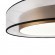 Настенно-потолочный светильник Freya FR6005CL-L48G Zoticus светодиодный LED 48W