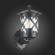 SL085.401.01 Светильник уличный настенный ST-Luce Черный/Черный, Прозрачный E27 1*60W LORNE