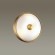 Настенно-потолочный светильник Odeon Light 4956/2 PELOW под лампы 2xE14 2*40W