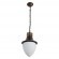 Уличный подвесной светильник Arte Lamp A1317SO-1BN VIENNA IP44 под лампу 1xE27 75W