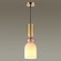 Подвесной светильник с 1 плафоном Lumion 4589/1 GILLIAN под лампу 1xE27 60W