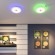 Настенно-потолочный светильник Sonex 4629/EL ROKI muzcolor светодиодный LED 72W